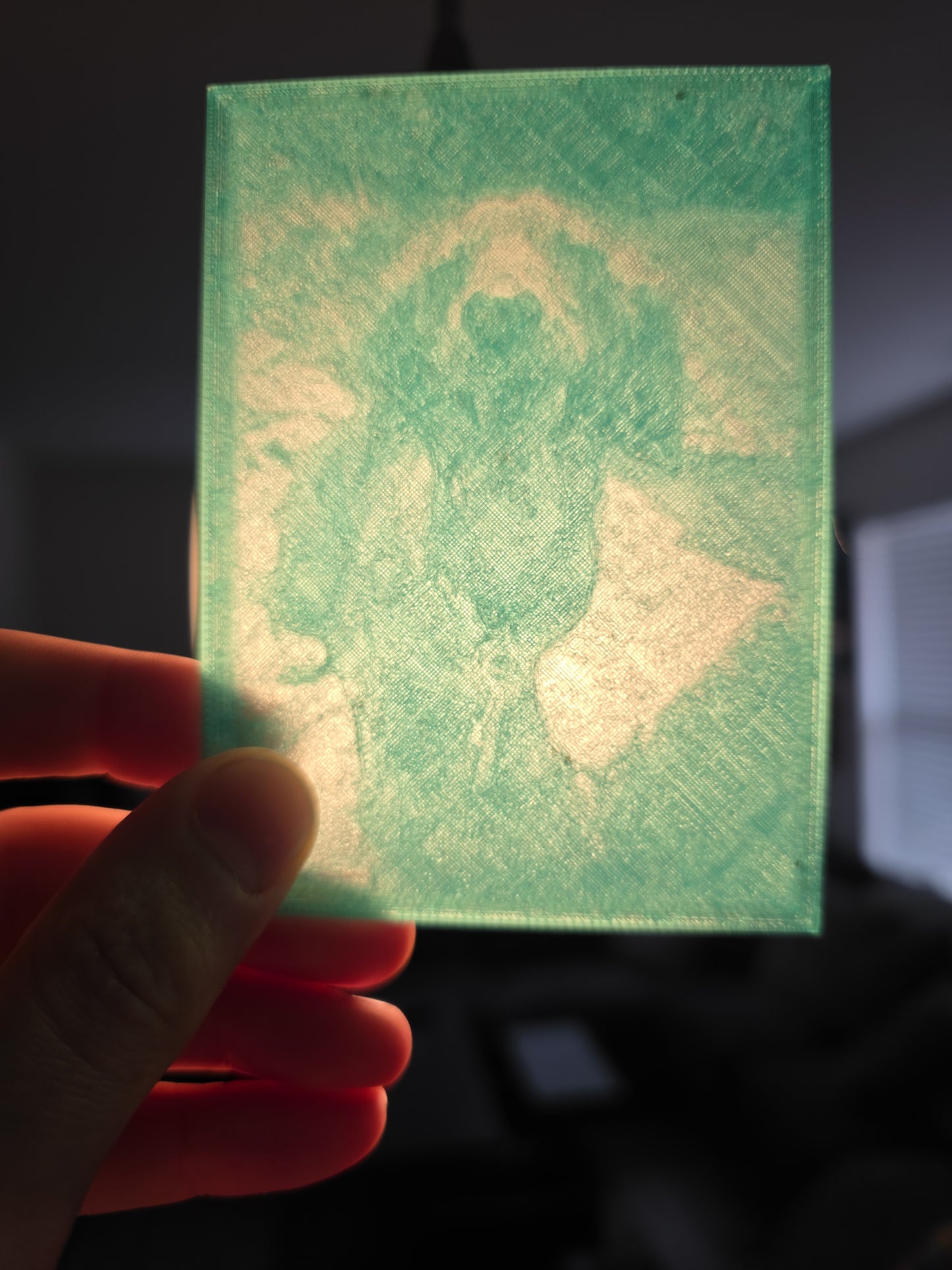 CUSTOM 3d Printed Lithophanes